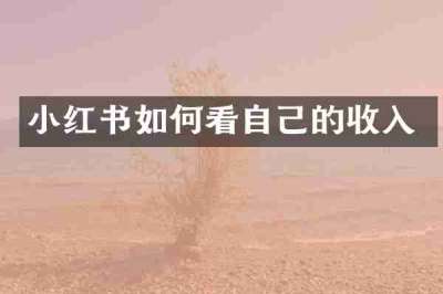小红书如何看自己的收入