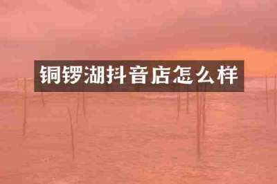 铜锣湖抖音店怎么样