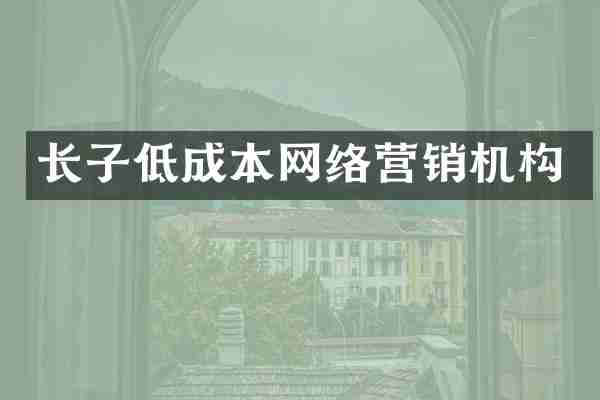 长子低成本网络营销机构