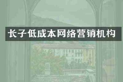 长子低成本网络营销机构