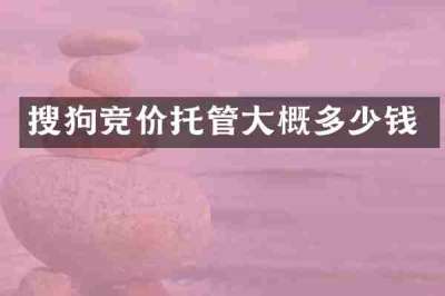 搜狗竞价托管大概多少钱