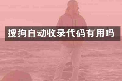 搜狗自动收录代码有用吗