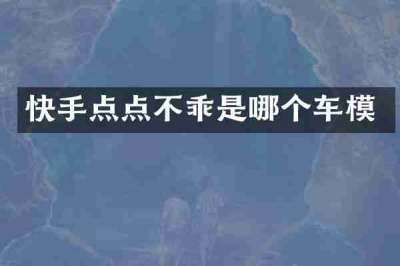 快手点点不乖是哪个车模