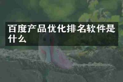 百度产品优化排名软件是什么