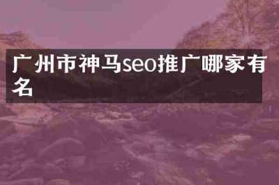 广州市神马seo推广哪家有名