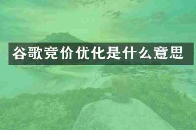 谷歌竞价优化是什么意思