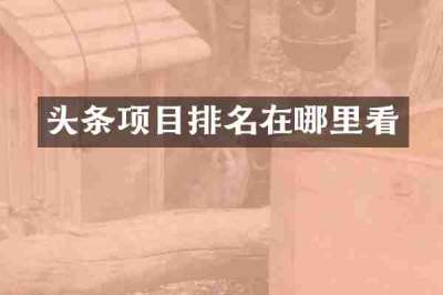 头条项目排名在哪里看