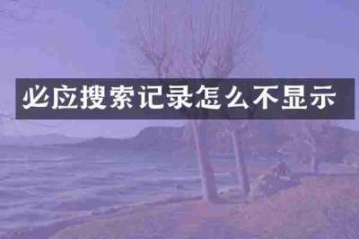 必应搜索记录怎么不显示