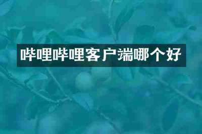 哔哩哔哩客户端哪个好