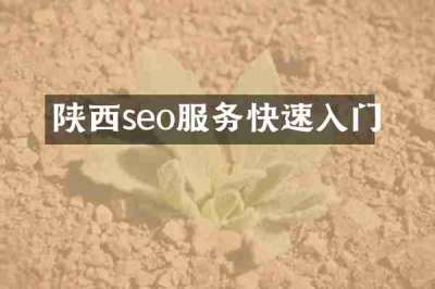 陕西seo服务快速入门