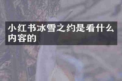 小红书冰雪之约是看什么内容的