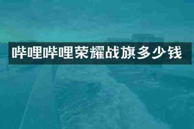 哔哩哔哩荣耀战旗多少钱