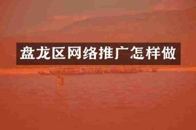 盘龙区网络推广怎样做