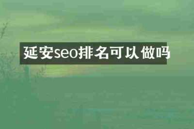 延安seo排名可以做吗