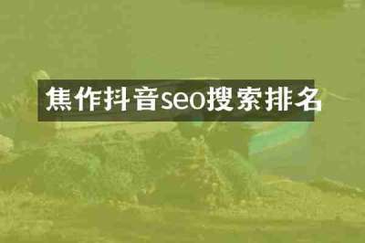 焦作抖音seo搜索排名