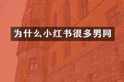 为什么小红书很多男同