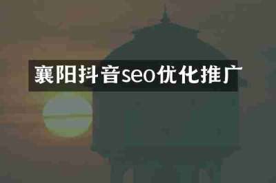 襄阳抖音seo优化推广