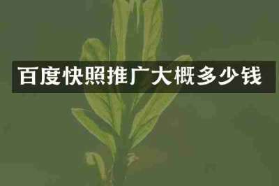百度快照推广大概多少钱