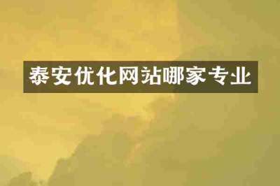 泰安优化网站哪家专业