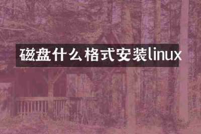 磁盘什么格式安装linux