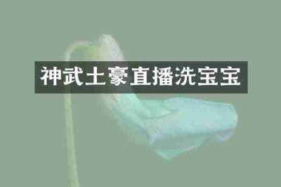 神武土豪直播洗宝宝