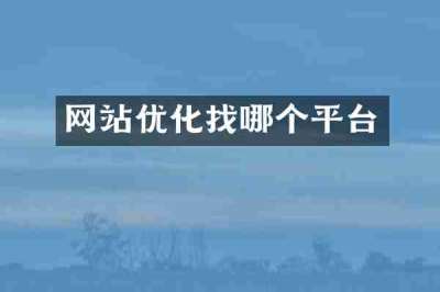 网站优化找哪个平台
