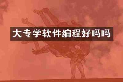 大专学软件编程好吗吗