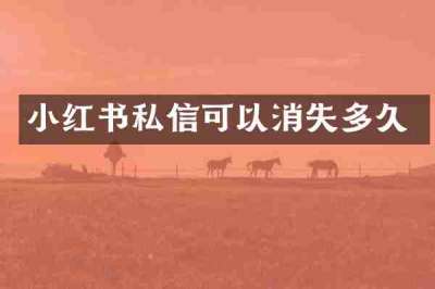 小红书私信可以消失多久
