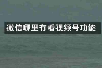 微信哪里有看视频号功能