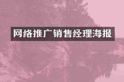 网络推广销售经理海报