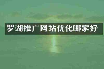 罗湖推广网站优化哪家好