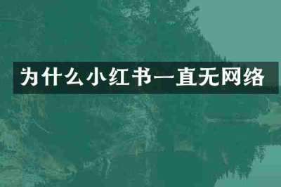 为什么小红书一直无网络