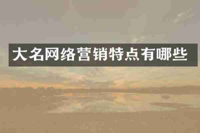 大名网络营销特点有哪些