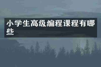 小学生高级编程课程有哪些