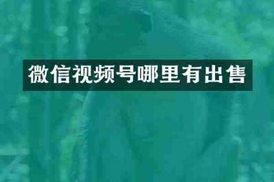 微信视频号哪里有出售