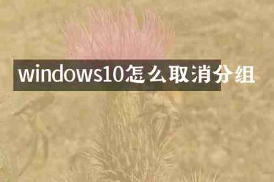 windows10怎么取消分组