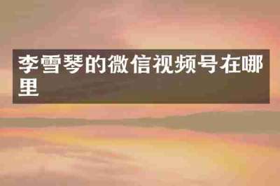 李雪琴的微信视频号在哪里