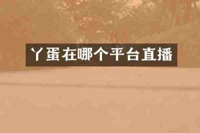丫蛋在哪个平台直播