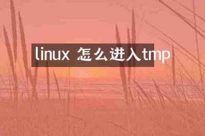 linux 怎么进入tmp