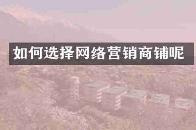 如何选择网络营销商铺呢