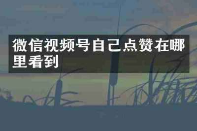 微信视频号自己点赞在哪里看到