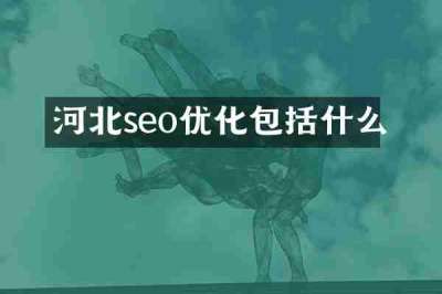 河北seo优化包括什么