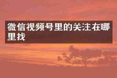 微信视频号里的关注在哪里找
