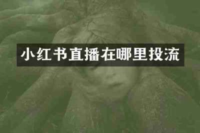 小红书直播在哪里投流