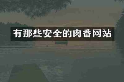 有那些安全的肉番网站