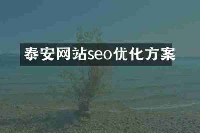 泰安网站seo优化方案