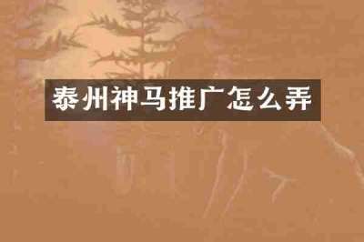 泰州神马推广怎么弄