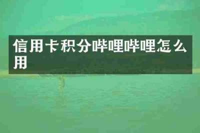 信用卡积分哔哩哔哩怎么用