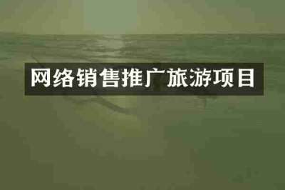 网络销售推广旅游项目