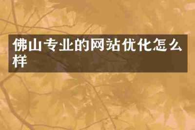 佛山专业的网站优化怎么样